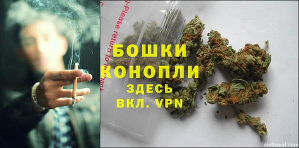 сатива Абдулино