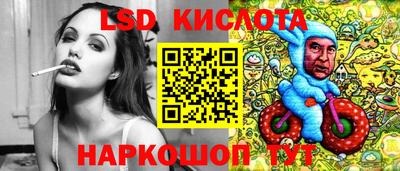 индика Ирбит