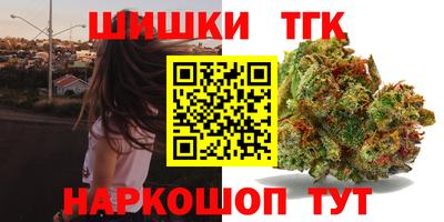 индика Ирбит