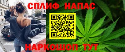 индика Ирбит