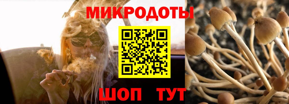 Тобольск  Псилоцибиновые грибы Magic Shrooms  даркнет сайт  Вход с VPN 